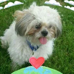 Meet your Posher, Tara